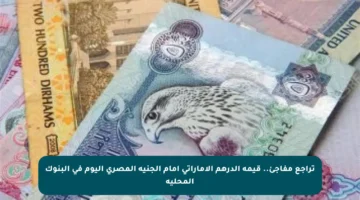 تراجع مفاجئ.. قيمة الدرهم الإماراتي أمام الجنيه المصري اليوم في البنوك المحلية
